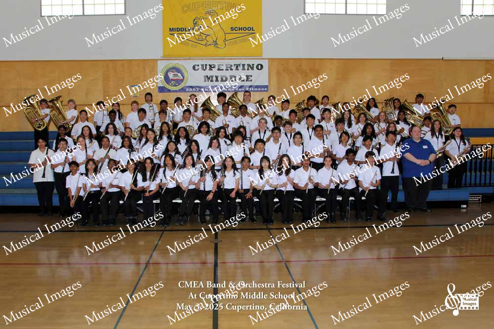 Musical Images